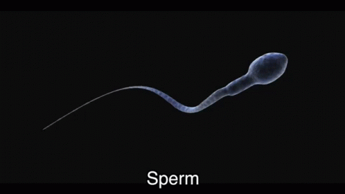 Sperm Its Rucka Sperm Its Rucka Rihanna Work Parody Song