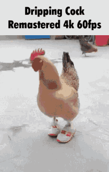 Dripping Cock Chicken Dripping Cock Chicken Among Us Drip Discover Share Gifs