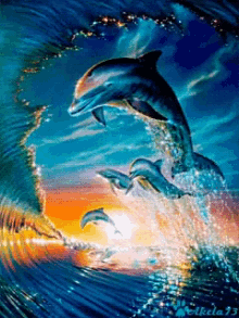 Dolphins Wave GIF - Dolphins Wave Ocean GIFs