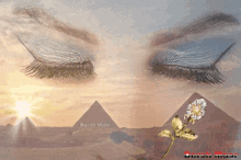 Greating From GIF - Greating From Egypt GIFs