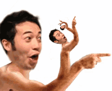 loop pogchamp