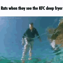 Rats When GIF - Rats When They GIFs