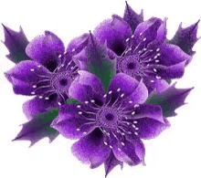Lavender Flower GIF - Lavender Flower Glittery GIFs
