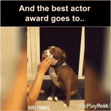 things award