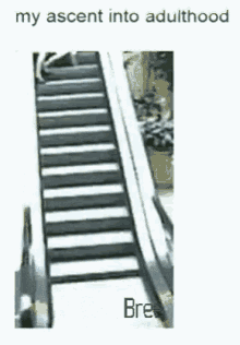 Stairs Fail GIF - Stairs Fail Fall GIFs