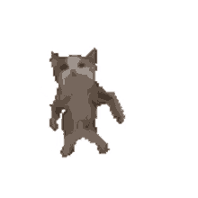 cat dance yass kitten gangnam cat dance yass kitten gangnam