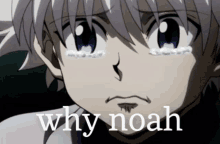 why noah