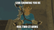 Link Botw GIF - Link Botw Zelda GIFs