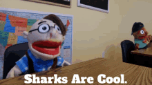 Sml Cody GIF - Sml Cody Sharks Are Cool GIFs