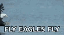 Eagles Fly GIF - Eagles Fly GIFs