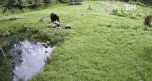 bear this