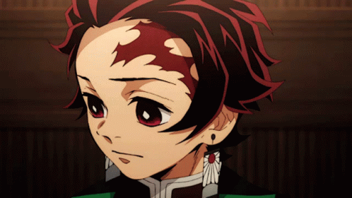 Eu sou Roque Guará - o Pirata Revolucionário Tanjiro-kamado-kimetsu-no-yaiba