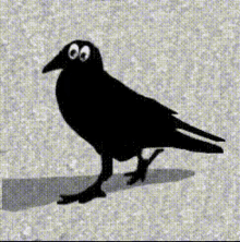 Cuervo Raven GIF - Cuervo Raven Crow GIFs