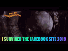 The Facebook Site The Site GIF - The Facebook Site The Site I Survived GIFs