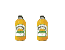 cheers bundaberg tropical mango flavor bundaberg brewed drinks