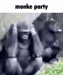 monke-monkey.gif