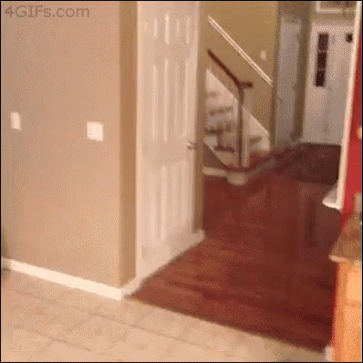 Ghostly Fail GIF - Ghostlyfail Funny Ouch GIFs