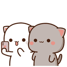 cute love cat selfie