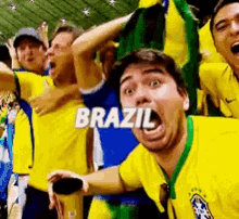 Brazil Cheering GIF - Brazil Cheering Soccer Fans GIFs