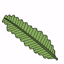 raf rafs rafsdesign rafs84 leaf