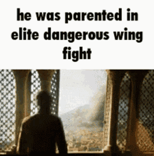 wingfight elite