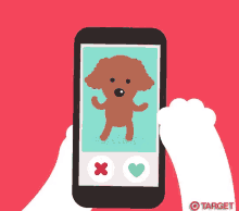 dog swipe tinder cat bone dog swipe tinder cat bone