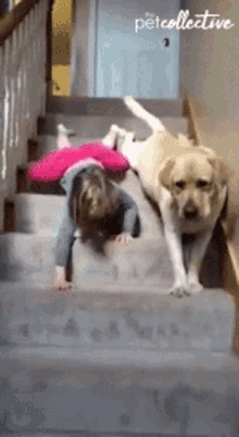 Downstairs Down The Stairs GIF - Downstairs Down The Stairs Kid GIFs