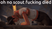 scout oh
