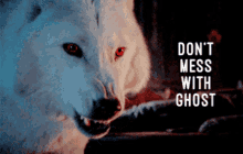 Dont Mess With The Ghost Ghost GIF - Dont Mess With The Ghost Ghost Angry GIFs
