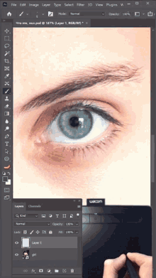 Adding Eyebrow Rizvanov GIF - Adding Eyebrow Rizvanov Look Enhancement GIFs