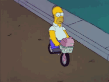 Homer Simpson Bici GIF - Homer Simpson Bici Bike GIFs
