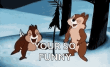 Chip And Dale Laughing GIF - Chip And Dale Laughing Youre So Funny GIFs