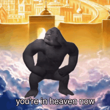 Youre In Heaven Now Itsrucka GIF - Youre In Heaven Now Itsrucka Harambe Forever Song GIFs