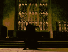 Harry Potter Alan Rickman GIF - Harry Potter Alan Rickman Snape GIFs