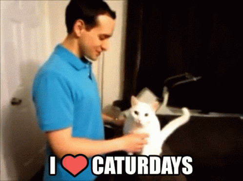 Caturday Caturday Hug GIF - Caturday Caturday Hug I Love Caturdays GIFs