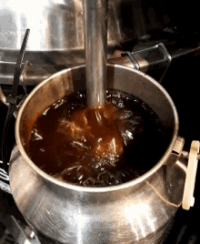 fermentation ferment fermentation ferment