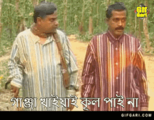 Bangla Bangladesh GIF - Bangla Bangladesh Bangla Natok GIFs