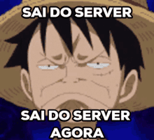 Sai Do Server Sai Do Server Agora GIF - Sai Do Server Sai Do Server Agora Luffy GIFs