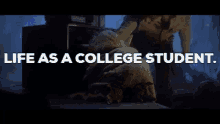 College Student Life As A College Student GIF - College Student Life As A College Student GIFs