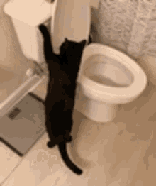 cat flush