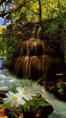Nature Waterfall GIF - Nature Waterfall GIFs