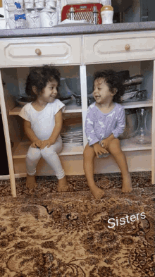 Twin Sisters Toddlers GIF - Twin Sisters Toddlers Twin GIFs