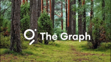 The Graph Meme Protocol GIF - The Graph Meme Graph Protocol GIFs
