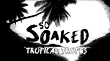 So Soaked Tropical Tropes GIF - So Soaked Tropical Tropes Tropics GIFs