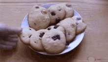 Cookies Cookie Day GIF - Cookies Cookie Day Food GIFs