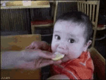 sour squirm