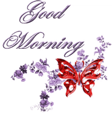 good morning good morning butterfly flowers