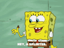Splinter Spongebob GIF - Splinter Spongebob GIFs