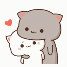 Cat Hug GIF - Cat Hug Smile GIFs