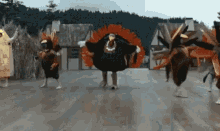 Its Thanksgiving GIF - Turkey Day Thanks Giving Dancing GIFs